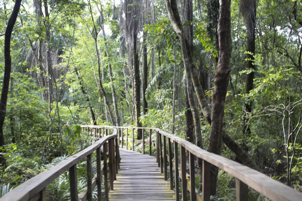 Experience Nature: Join Our Live Virtual Tour of Lekki Conservation Centre