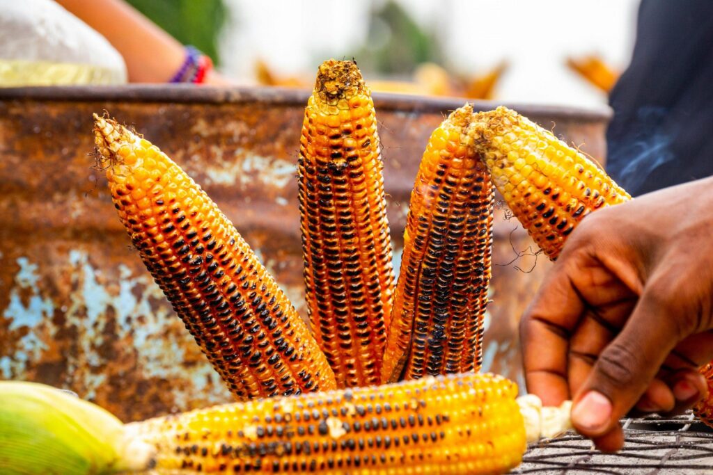 Savoring Lagos: Exploring the Vibrant Street Food Scene