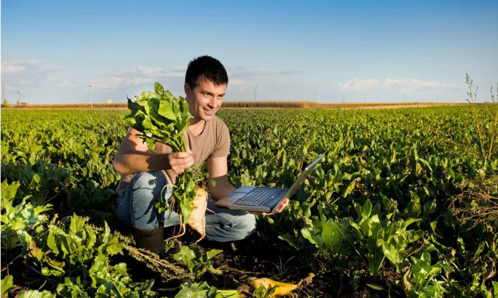 Lagos Community Tackles Food Security with Local Farming Initiatives